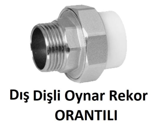 Orantılı Dış Diş Oynar Rekorlar